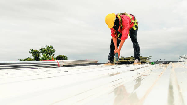Gutter Replacement in Edgemoor, DE
