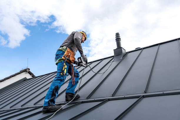 Professional Roofing Services in Edgemoor, DE